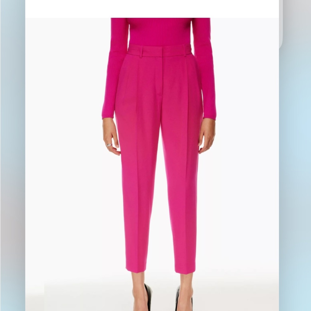 Aritzia Babaton Vogue Pants Granita Pink 10